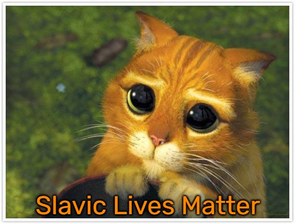 Shrek Cat Meme | Slavic Lives Matter | image tagged in memes,shrek cat,slavic lives matter | made w/ Imgflip meme maker