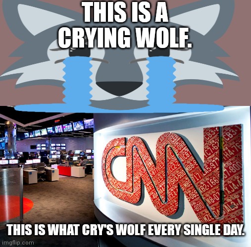  THIS IS A CRYING WOLF. THIS IS WHAT CRY'S WOLF EVERY SINGLE DAY. | image tagged in cnn | made w/ Imgflip meme maker