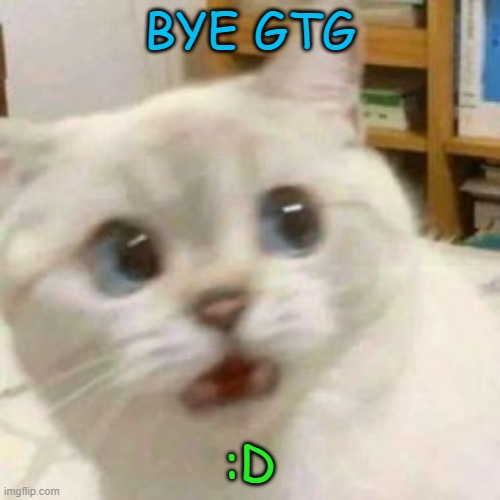 scared cat | BYE GTG; :D | image tagged in scared cat | made w/ Imgflip meme maker