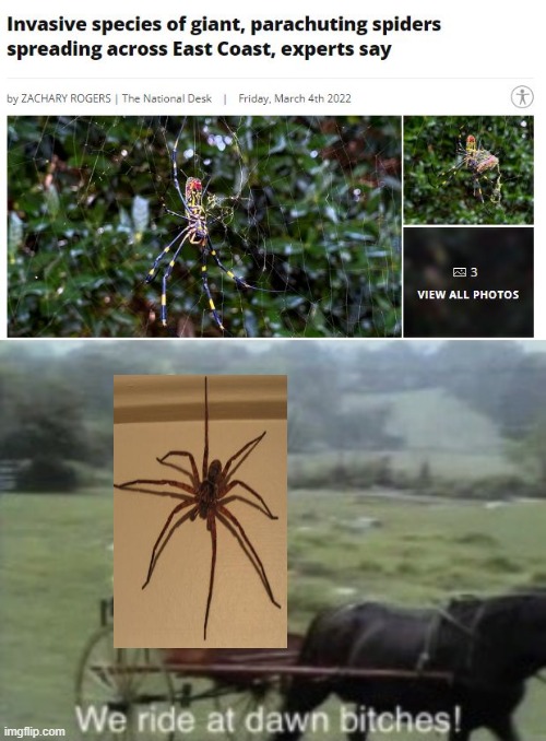 ATTACK!!! | image tagged in we ride at dawn | made w/ Imgflip meme maker