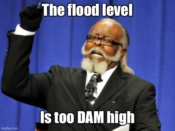 Waking up to record floods | The flood level; Is too DAM high | image tagged in memes,too damn high,damn,flood,flooding thumbs up | made w/ Imgflip meme maker