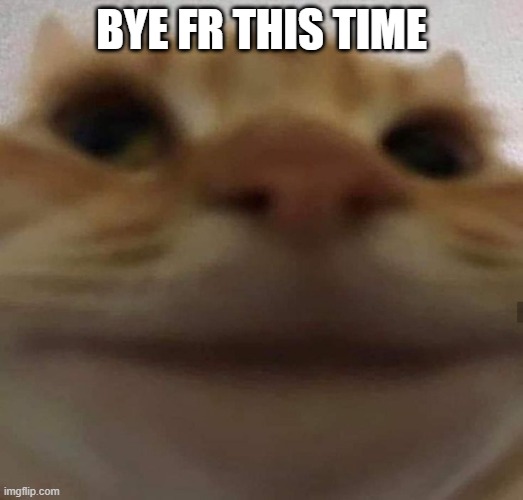 awkward cat | BYE FR THIS TIME | image tagged in awkward cat | made w/ Imgflip meme maker