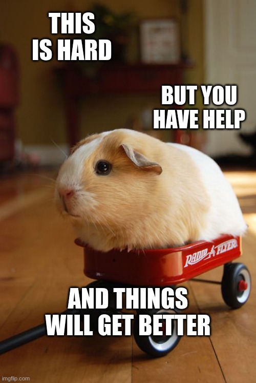 at least it's the wheek-end | THIS IS HARD; BUT YOU HAVE HELP; AND THINGS WILL GET BETTER | image tagged in guinea pig in wagon,hard,hard time,cute,ride | made w/ Imgflip meme maker