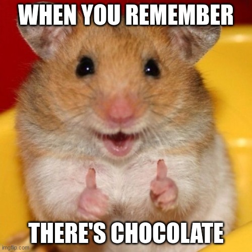 . . . and it's Friday | WHEN YOU REMEMBER; THERE'S CHOCOLATE | image tagged in happy hamster,cute,rodent,hamster,chocolate,happy | made w/ Imgflip meme maker