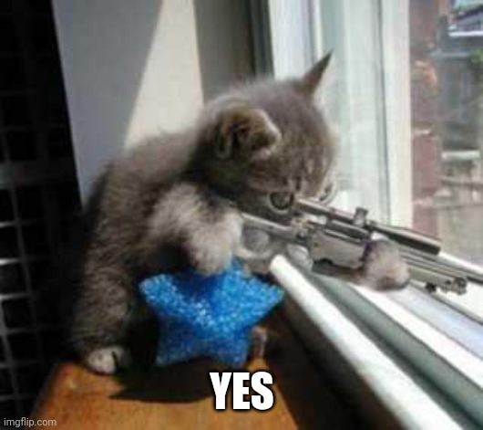 CatSniper | YES | image tagged in catsniper | made w/ Imgflip meme maker