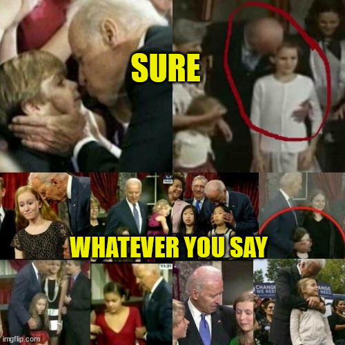 Joe Biden Pedophile! | SURE WHATEVER YOU SAY | image tagged in joe biden pedophile | made w/ Imgflip meme maker