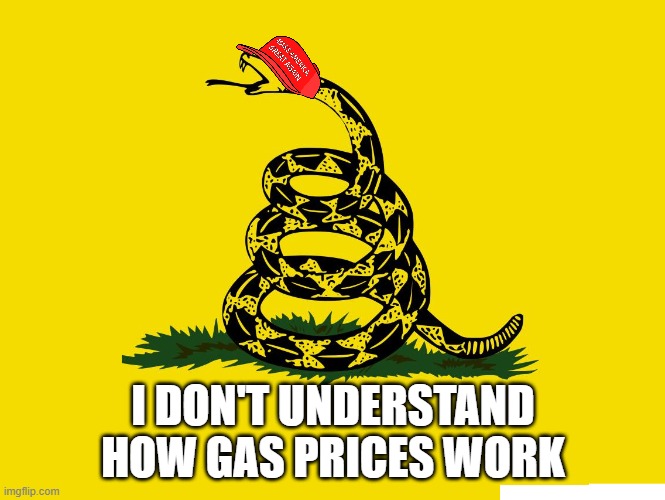 Gasden Flag | I DON'T UNDERSTAND HOW GAS PRICES WORK | image tagged in gasden flag | made w/ Imgflip meme maker