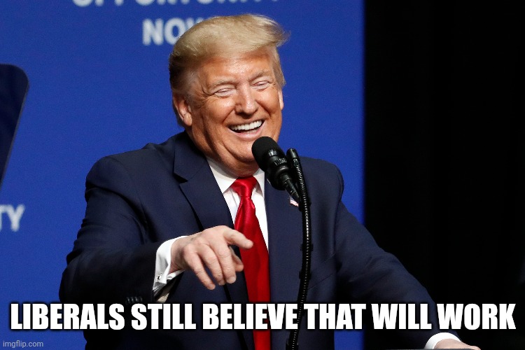 LIBERALS STILL BELIEVE THAT WILL WORK | made w/ Imgflip meme maker