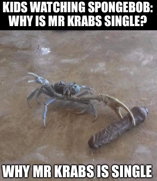 I feel sad SpongeBob | KIDS WATCHING SPONGEBOB: WHY IS MR KRABS SINGLE? WHY MR KRABS IS SINGLE | image tagged in crab,mr krabs,makes sense | made w/ Imgflip meme maker