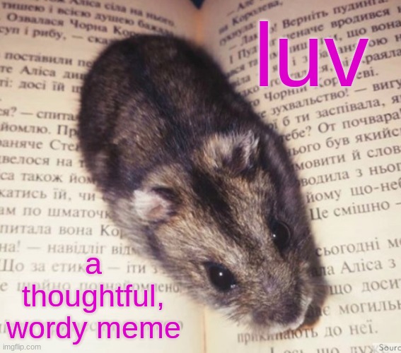 Literary hamster | luv a thoughtful, wordy meme | image tagged in literary hamster | made w/ Imgflip meme maker