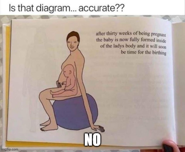 Accurate pregnancy diagram | NO | image tagged in accurate pregnancy diagram | made w/ Imgflip meme maker