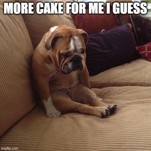 MORE CAKE FOR ME I GUESS | image tagged in bulldogsad | made w/ Imgflip meme maker