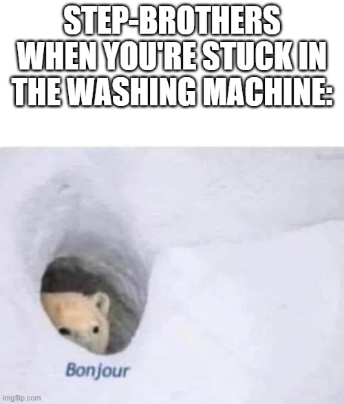 shit post | STEP-BROTHERS WHEN YOU'RE STUCK IN THE WASHING MACHINE: | image tagged in bonjour,step-bro,seggsy time,never gonna give you up,never gonna let you down | made w/ Imgflip meme maker