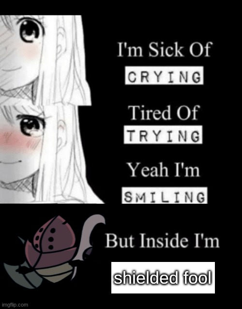 I'm Sick Of Crying | shielded fool | image tagged in i'm sick of crying,fool,hollow knight,colosseum of fools | made w/ Imgflip meme maker