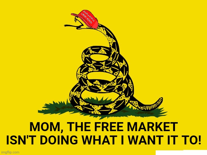 Gasden Flag | MOM, THE FREE MARKET ISN'T DOING WHAT I WANT IT TO! | image tagged in gasden flag | made w/ Imgflip meme maker