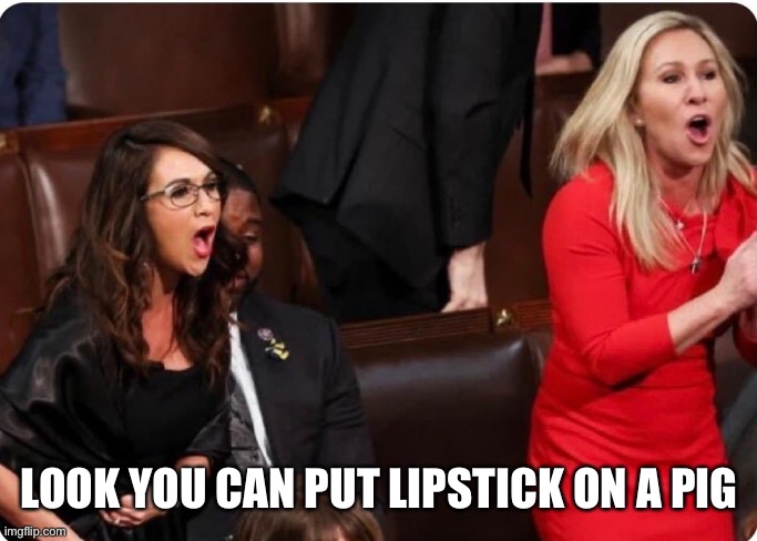 Lipstick on a pig | LOOK YOU CAN PUT LIPSTICK ON A PIG | image tagged in gop,trump | made w/ Imgflip meme maker