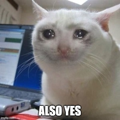 Crying cat | ALSO YES | image tagged in crying cat | made w/ Imgflip meme maker