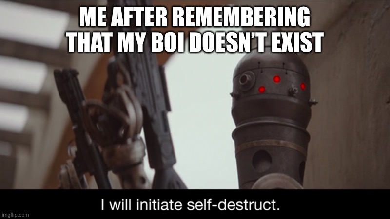 Not really I’m just bored | ME AFTER REMEMBERING THAT MY BOI DOESN’T EXIST | image tagged in i will initiate self-destruct | made w/ Imgflip meme maker
