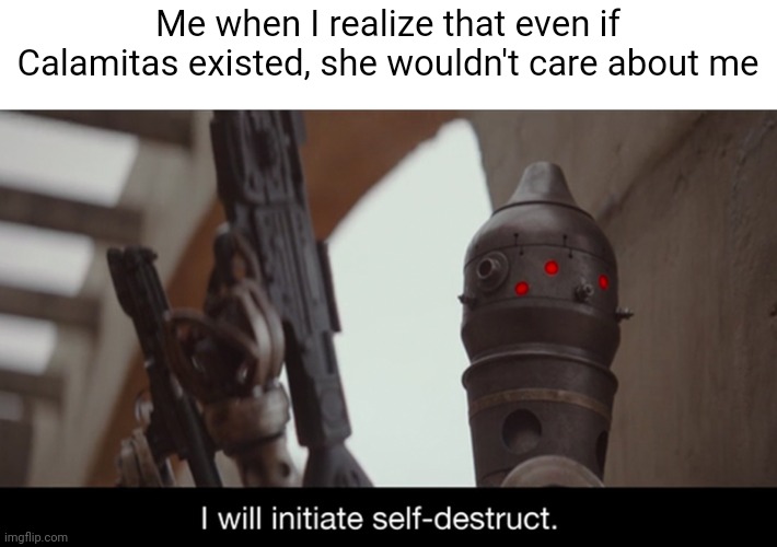 I Will Initiate Self-Destruct | Me when I realize that even if Calamitas existed, she wouldn't care about me | image tagged in i will initiate self-destruct | made w/ Imgflip meme maker