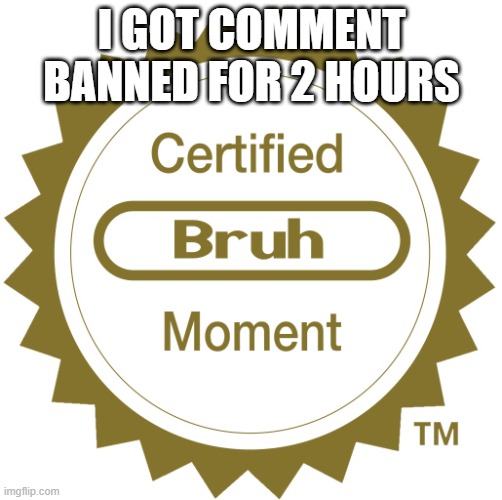 and it's bc i said something about danny | I GOT COMMENT BANNED FOR 2 HOURS | image tagged in certified bruh moment | made w/ Imgflip meme maker