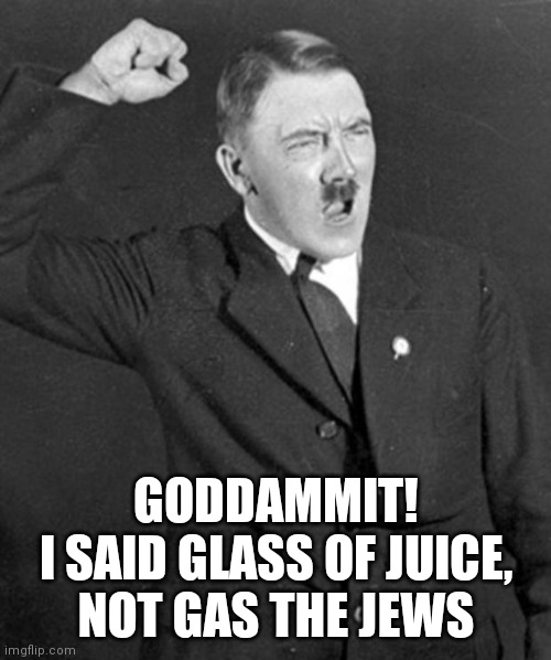 Plot twist: hitler wanted a glass of juice, not kill 5 million people | GODDAMMIT!
I SAID GLASS OF JUICE, NOT GAS THE JEWS | image tagged in angry hitler | made w/ Imgflip meme maker