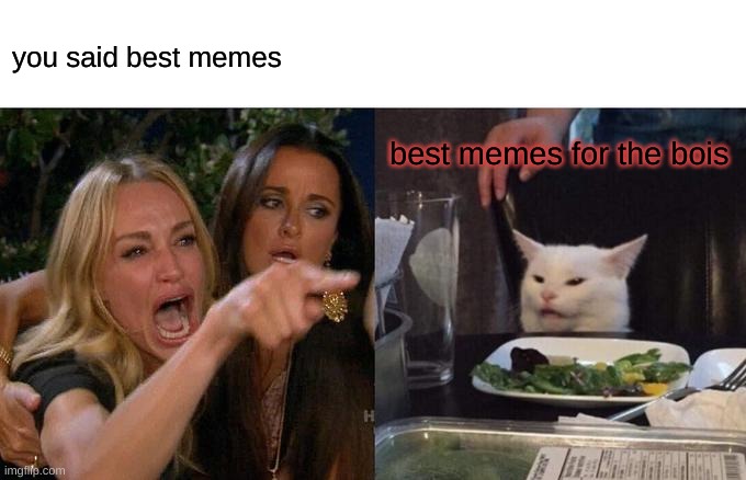memes for the boiis | you said best memes; best memes for the bois | image tagged in memes,woman yelling at cat | made w/ Imgflip meme maker