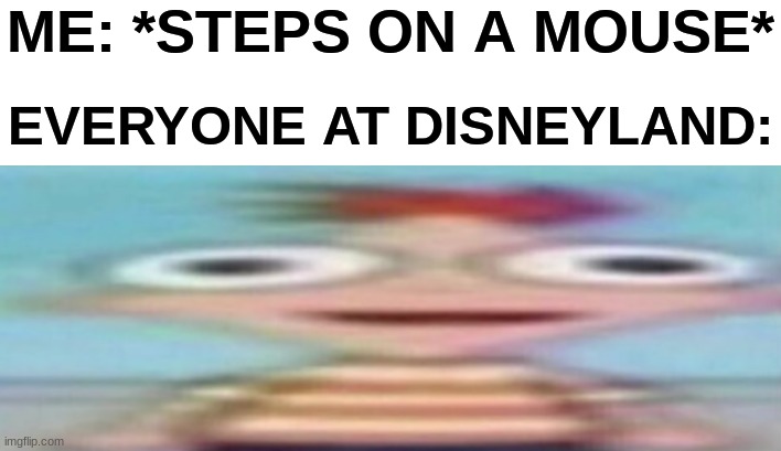 (inspired) | ME: *STEPS ON A MOUSE*; EVERYONE AT DISNEYLAND: | image tagged in meme | made w/ Imgflip meme maker