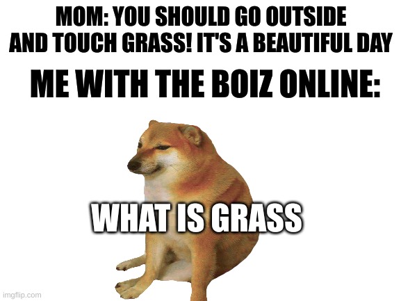 major concern | MOM: YOU SHOULD GO OUTSIDE AND TOUCH GRASS! IT'S A BEAUTIFUL DAY; ME WITH THE BOIZ ONLINE:; WHAT IS GRASS | image tagged in cheems,blank white template | made w/ Imgflip meme maker