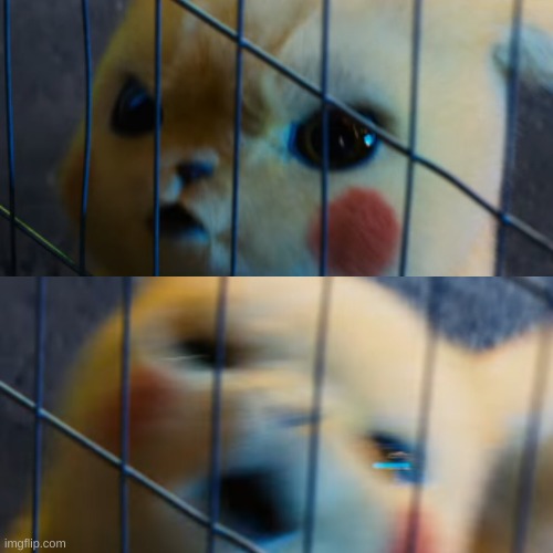 Let me out | image tagged in let me out | made w/ Imgflip meme maker