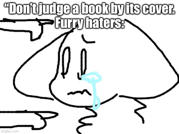 But really, why | “Don’t judge a book by its cover.
Furry haters: | image tagged in blank white template,furry,why,help,fun,no | made w/ Imgflip meme maker