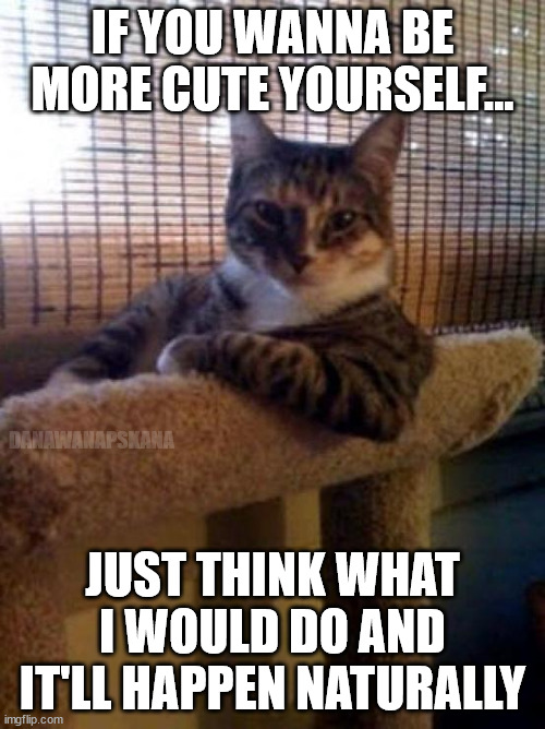 smarty cat | IF YOU WANNA BE MORE CUTE YOURSELF... DANAWANAPSKANA; JUST THINK WHAT I WOULD DO AND IT'LL HAPPEN NATURALLY | image tagged in memes,the most interesting cat in the world,cute | made w/ Imgflip meme maker