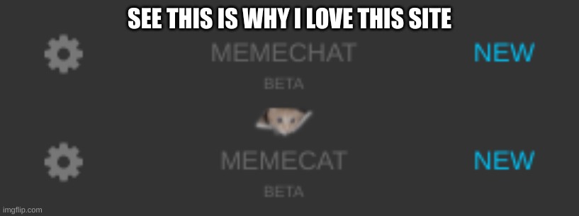 SEE THIS IS WHY I LOVE THIS SITE | made w/ Imgflip meme maker