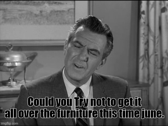 Could you Try not to get it all over the furniture this time june. | made w/ Imgflip meme maker