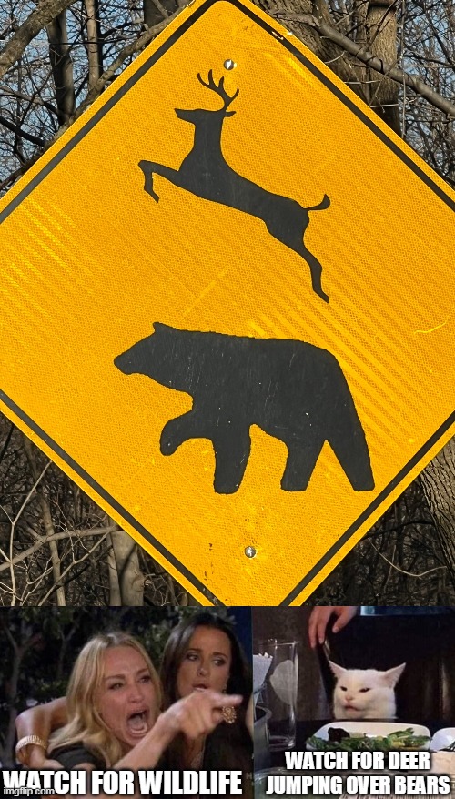 Whee!!! | WATCH FOR WILDLIFE; WATCH FOR DEER JUMPING OVER BEARS | image tagged in woman yelling at cat,meme,memes,humor,signs | made w/ Imgflip meme maker