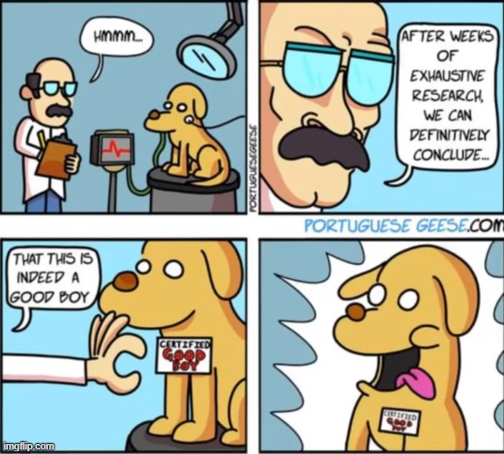 image tagged in comics | made w/ Imgflip meme maker