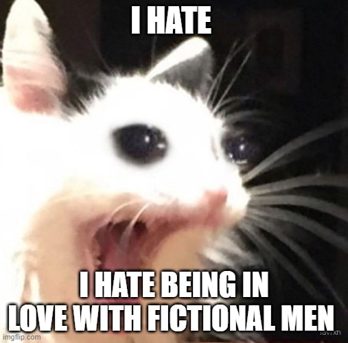 Zad cat | I HATE; I HATE BEING IN LOVE WITH FICTIONAL MEN | image tagged in zad cat | made w/ Imgflip meme maker