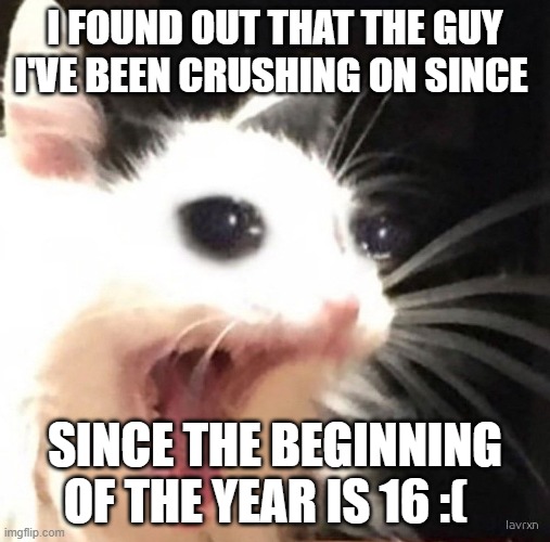 Bubonic falling in love with guys her own age when? | I FOUND OUT THAT THE GUY I'VE BEEN CRUSHING ON SINCE; SINCE THE BEGINNING OF THE YEAR IS 16 :( | image tagged in zad cat | made w/ Imgflip meme maker