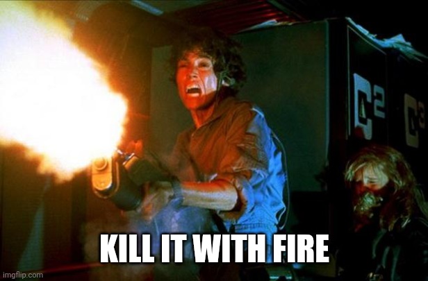 kill it with fire | KILL IT WITH FIRE | image tagged in kill it with fire | made w/ Imgflip meme maker