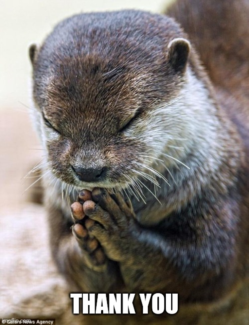 Thank you Lord Otter | THANK YOU | image tagged in thank you lord otter | made w/ Imgflip meme maker