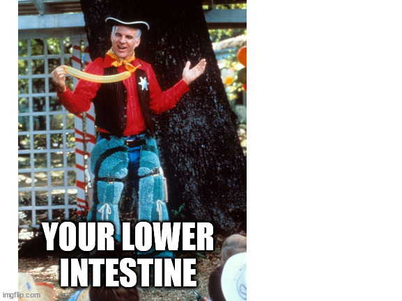 YOUR LOWER INTESTINE | made w/ Imgflip meme maker