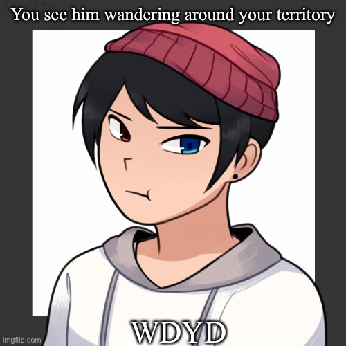 Pokémon ERP. You can use any Pokémon, but I would prefer a human resemblance Pokémon and I’d prefer if you used female. | You see him wandering around your territory; WDYD | made w/ Imgflip meme maker