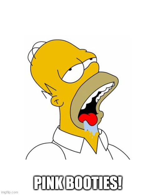 Homer Simpson Drooling | PINK BOOTIES! | image tagged in homer simpson drooling | made w/ Imgflip meme maker