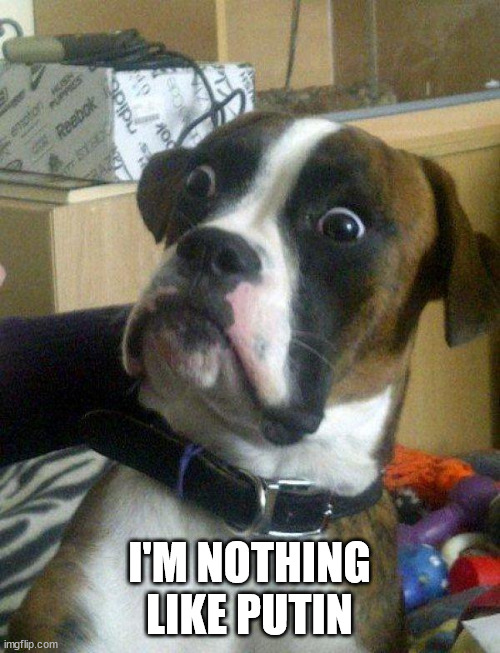 Blankie the Shocked Dog | I'M NOTHING LIKE PUTIN | image tagged in blankie the shocked dog | made w/ Imgflip meme maker