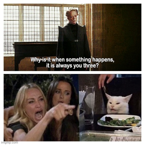 You Three | image tagged in cat,karen,harry potter,memes | made w/ Imgflip meme maker