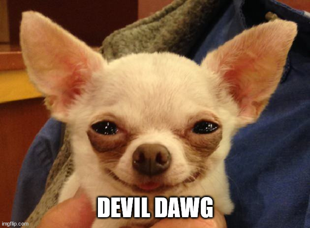 Devil dog | DEVIL DAWG | image tagged in devil dog | made w/ Imgflip meme maker