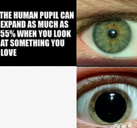 The human pupil can expand as much as 55% Blank Meme Template