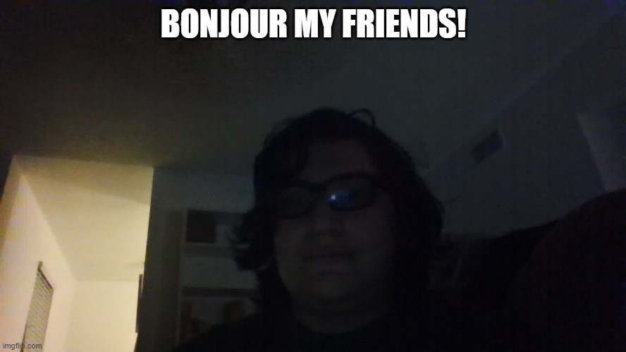 bonjour my fellow dudes! (if that isn't what you want to be called, i will change it to 98 fellow X) | BONJOUR MY FRIENDS! | made w/ Imgflip meme maker