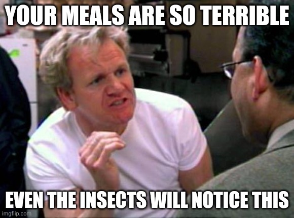 Terrible meals | YOUR MEALS ARE SO TERRIBLE; EVEN THE INSECTS WILL NOTICE THIS | image tagged in gordon ramsay,memes | made w/ Imgflip meme maker