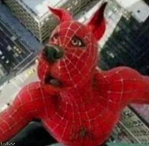 Spider scoob | image tagged in spiderman,scooby doo,memes | made w/ Imgflip meme maker