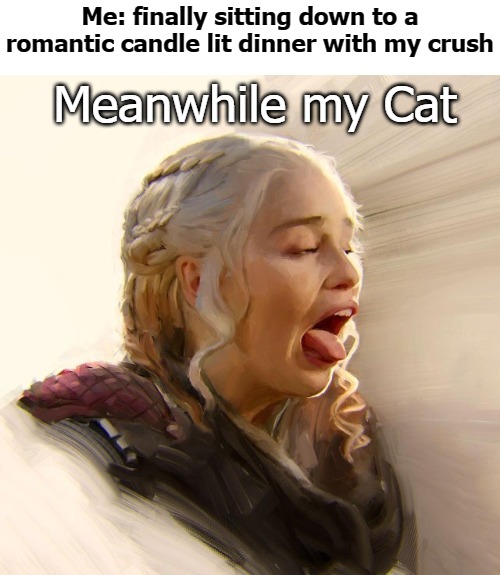Me: finally sitting down to a romantic candle lit dinner with my crush; Meanwhile my Cat | image tagged in dinner | made w/ Imgflip meme maker